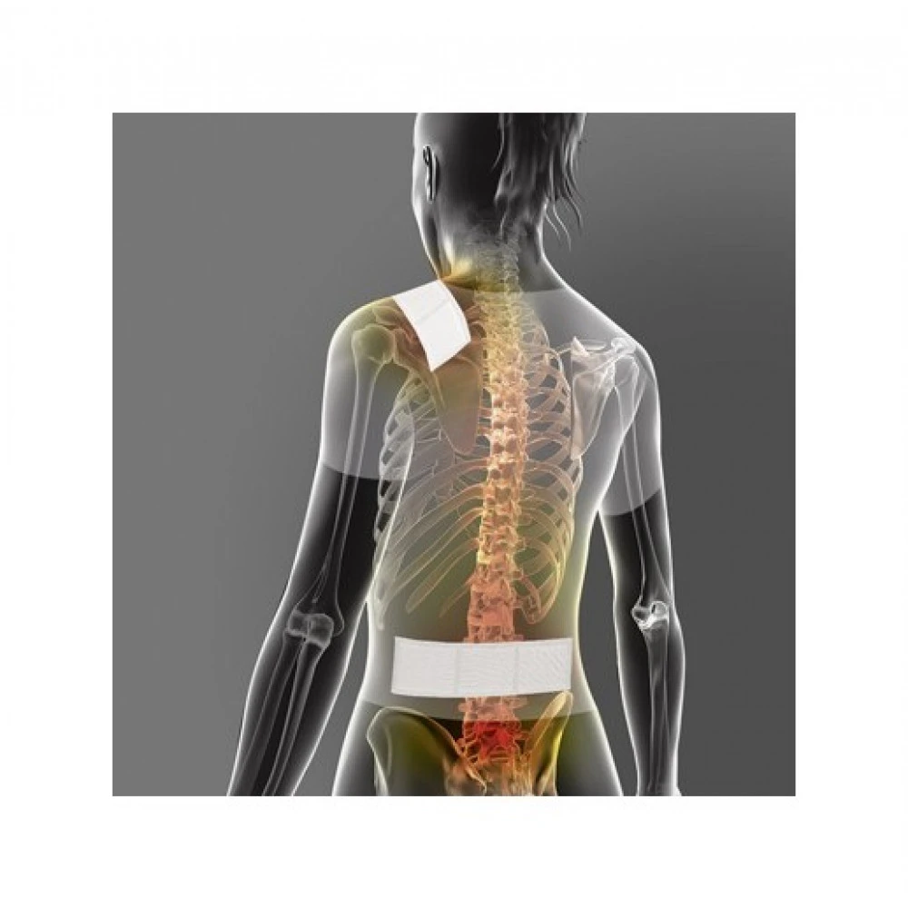 2 Patchs Chauffants Adhésifs 8 Heures - 28 X 8 CM 4 2 Patchs Chauffants Adhésifs 8 Heures - 28 X 8 CM – Image 2