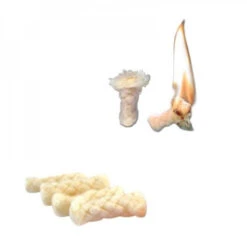 Kit Allume-feu SOL Fire Lite 9 Kit Allume-feu SOL Fire Lite -Extérieur Équipement Magasin 2 kit allume feu sol fire lite.jpg