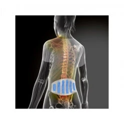 Coussin Réutilisable Lombaires CHAUD/FROID -Extérieur Équipement Magasin ceinture lombaires 1