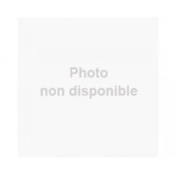 REGLE VICTORINOX AVEC BOUSSOLE, THERMOMETRE ET LOUPE